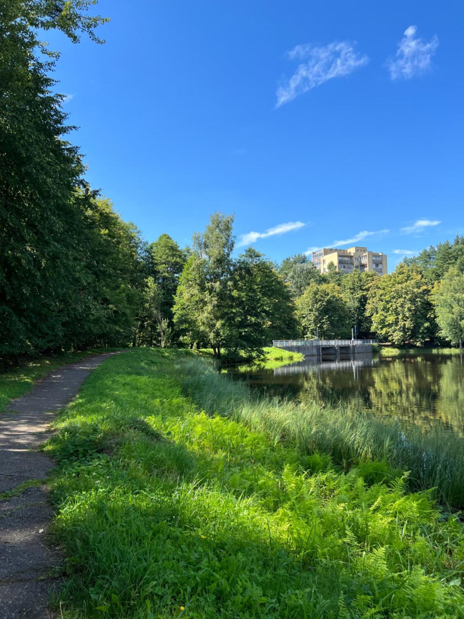 Saules Tako Apartamentai Druskininkai Kültér fotó